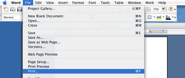 On Macs, choose Print from the File menu...